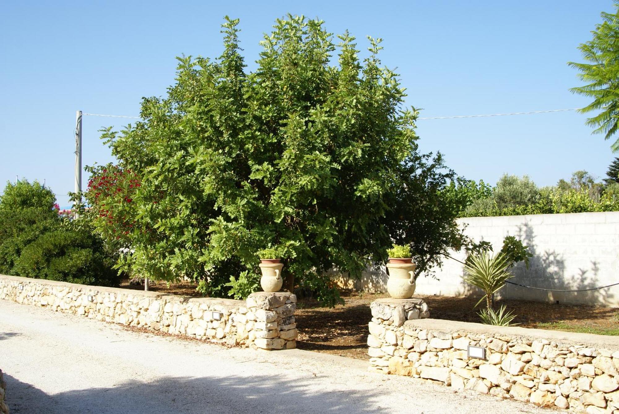 Bed and Breakfast Tenuta Arate Gallipoli Exterior foto